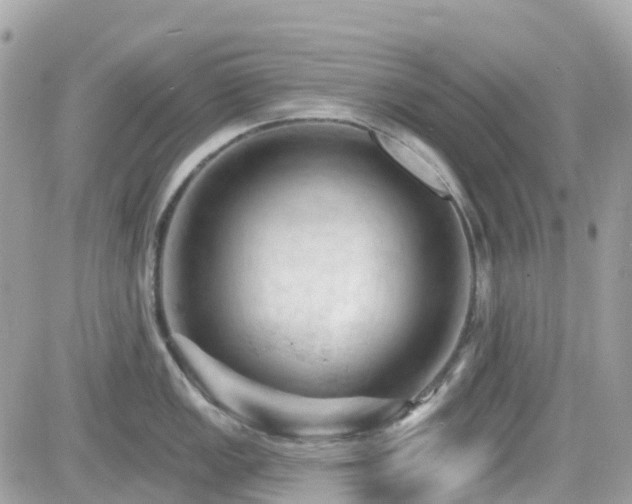 X0000082181149200701191233