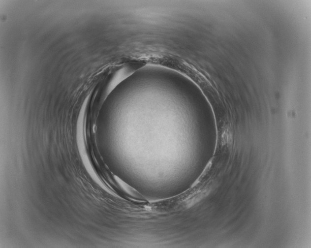 X0000082181156200701191233