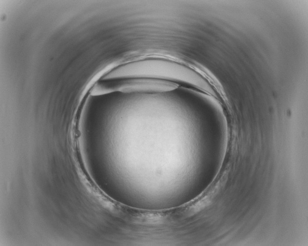 X0000082181190200701191232