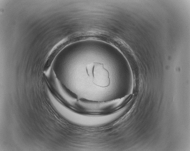 X0000082181210200701191231