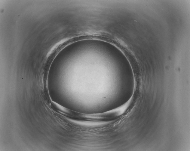 X0000082181214200701191231
