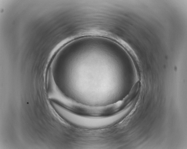 X0000082181238200701191232