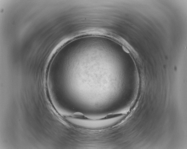 X0000082181240200701191232