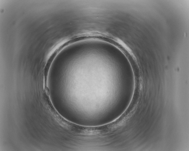 X0000082181269200701191231