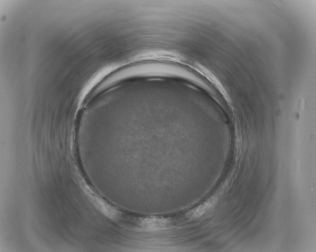 X0000082181277200701191231