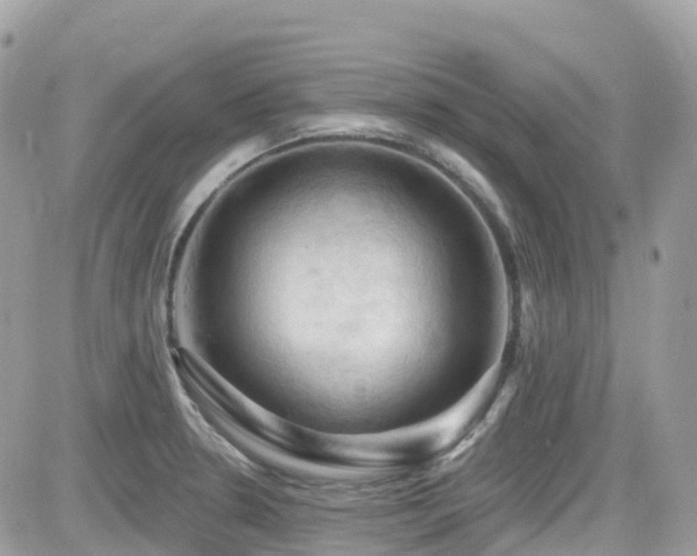X0000082181330200701191230