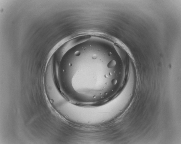 X0000082181338200701191230