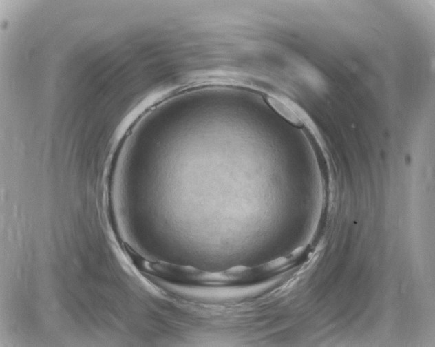 X0000082181341200701191230