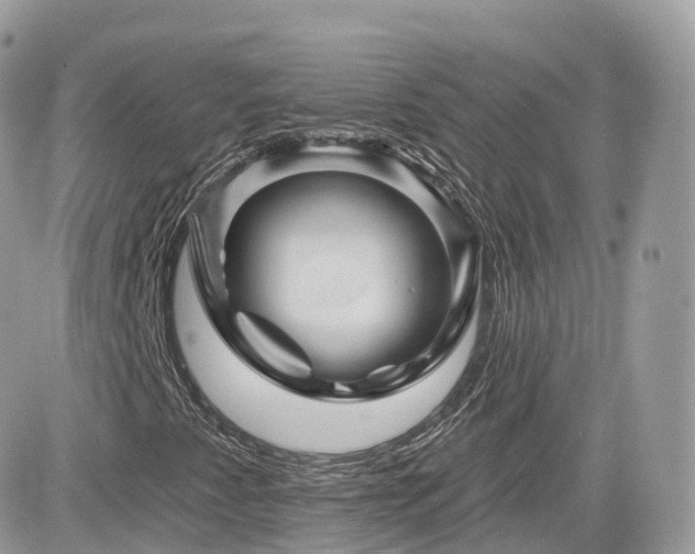X0000082181345200701191230