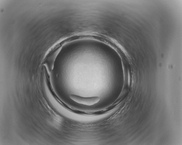 X0000082181356200701191229
