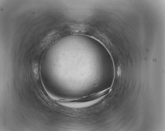 X0000082181396200701191228