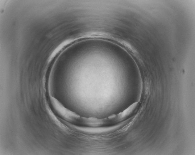 X0000082181422200701191229