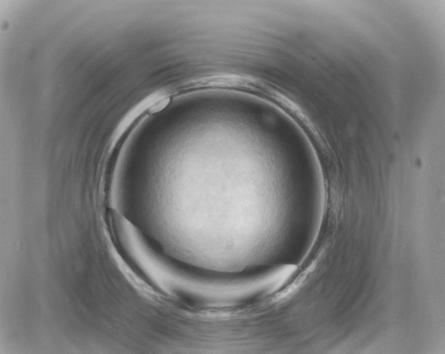 X0000082181426200701191229