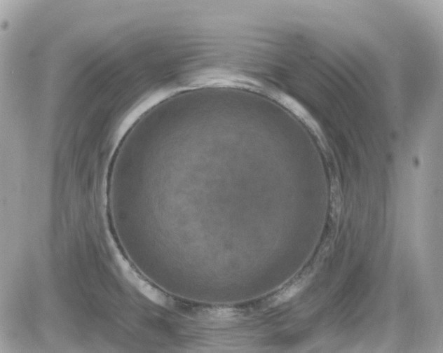 X0000082181431200701191229