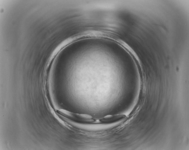 X0000082181437200701191229