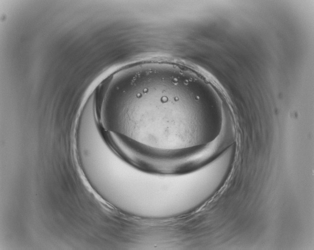 X0000082181440200701191229
