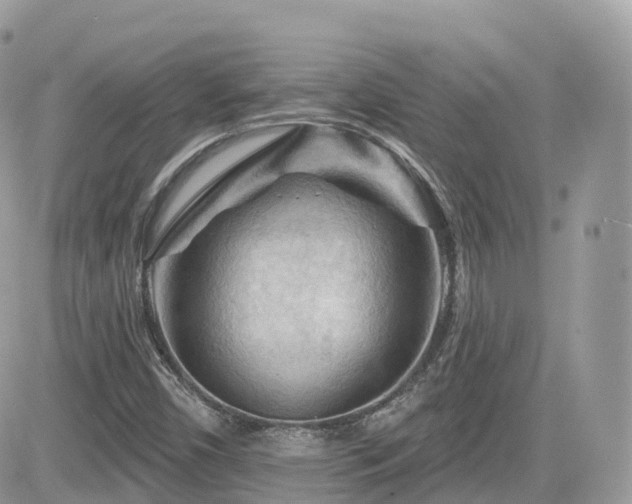 X0000082181450200701191228