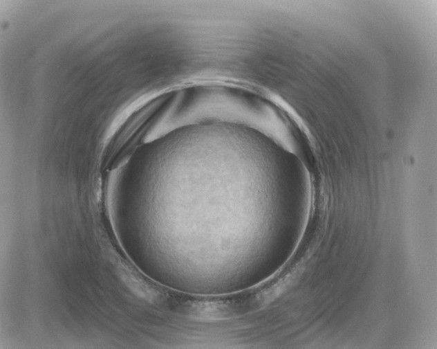 X0000082181461200701191228