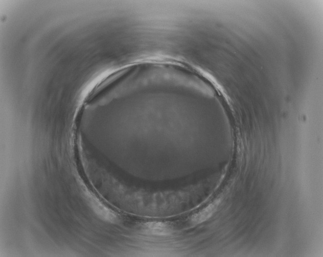 X0000082181463200701191228