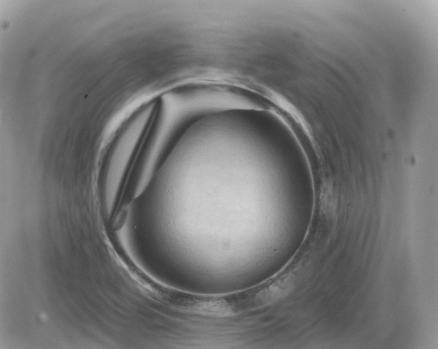 X0000082181464200701191228