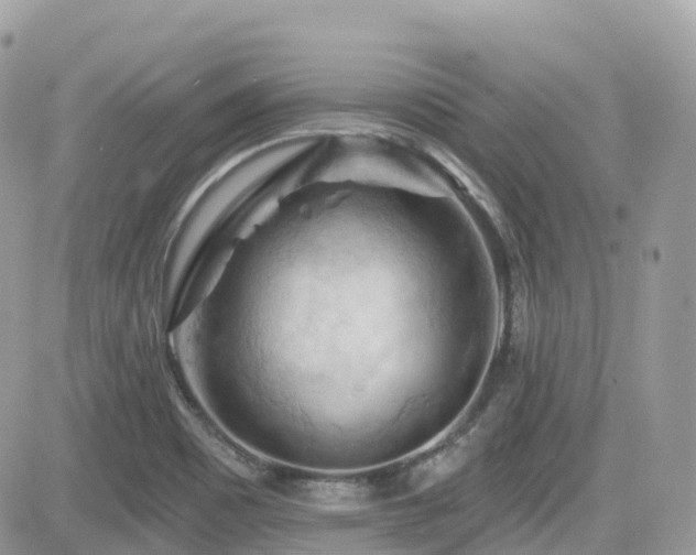 X0000082181465200701191228