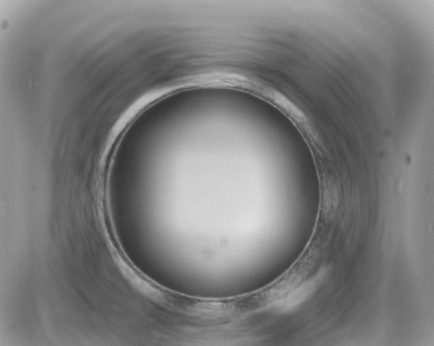 X0000082181478200701191227