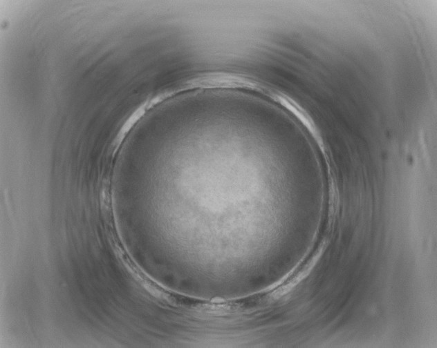 X0000082181481200701191227