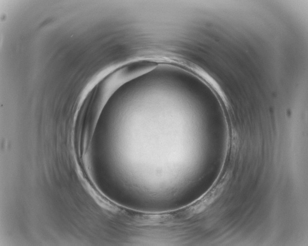X0000082181485200701191227