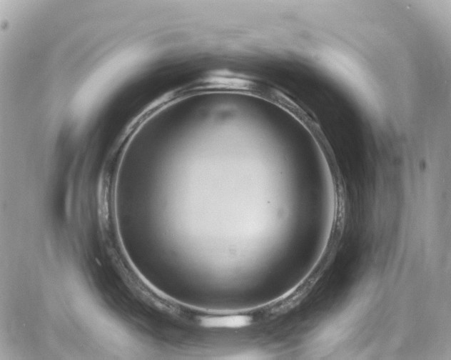 X0000082181487200701191227