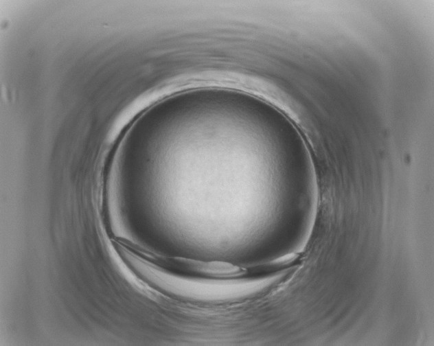 X0000082181523200701191227