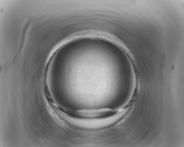 X0000082181530200701191227