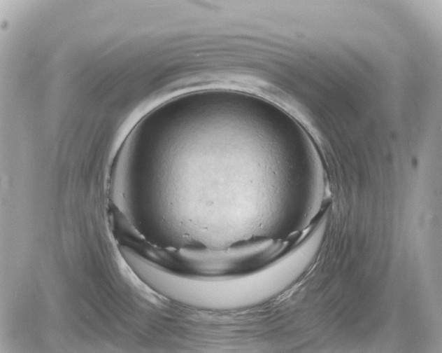 X0000082181532200701191227