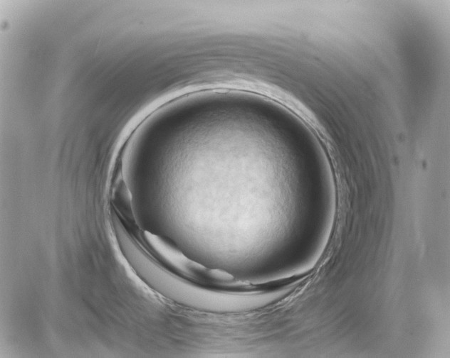 X0000082181536200701191227