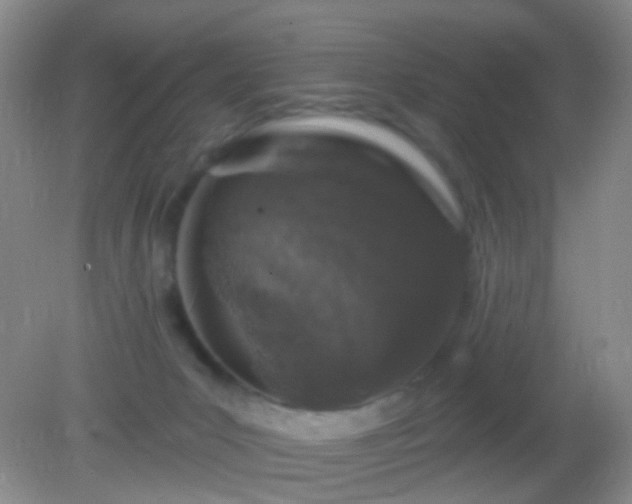 X0000082180031200701270038
