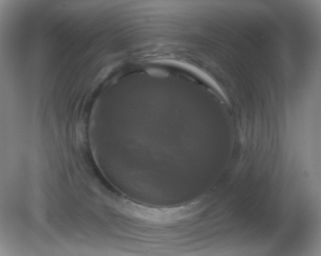 X0000082180035200701270038