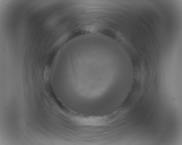 X0000082180036200701270038