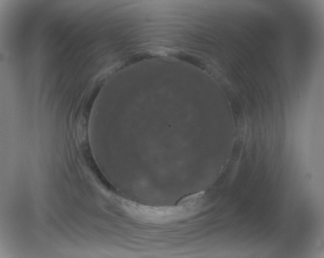 X0000082180043200701270038