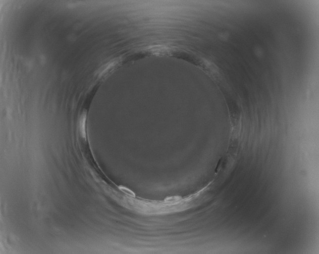 X0000082180047200701270038