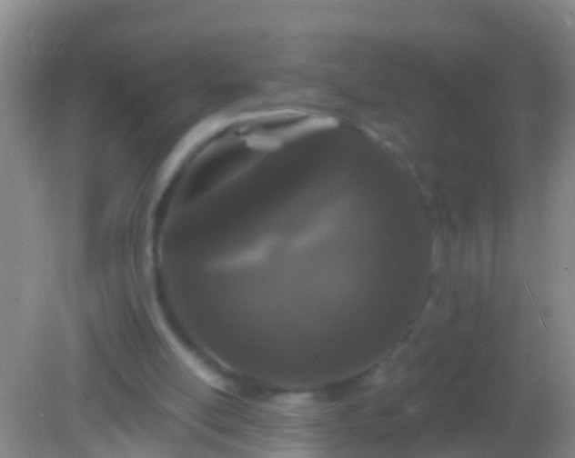 X0000082180054200701270037