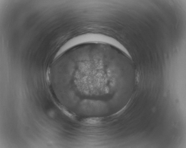 X0000082180094200701270038