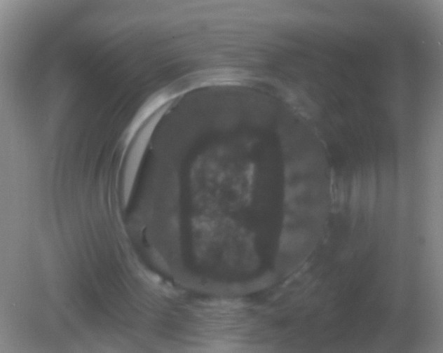 X0000082180099200701270037