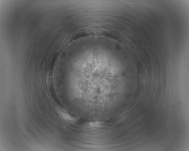 X0000082180134200701270036