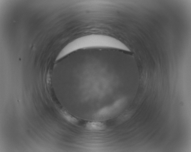 X0000082180137200701270036