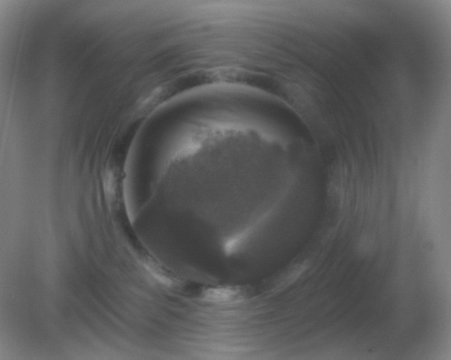 X0000082180139200701270036