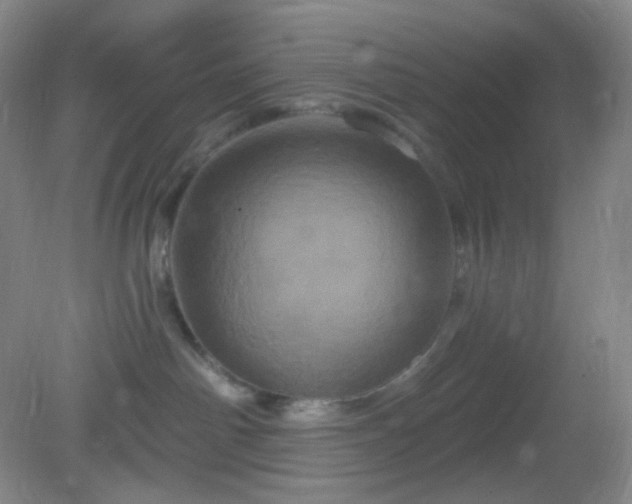 X0000082180142200701270036