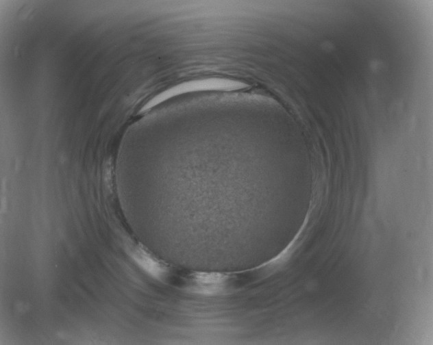 X0000082180144200701270036