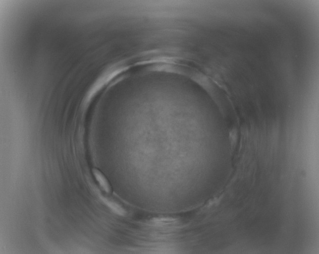 X0000082180150200701270035