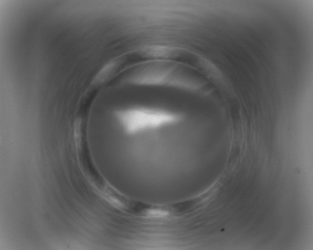 X0000082180167200701270036