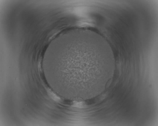 X0000082180185200701270036