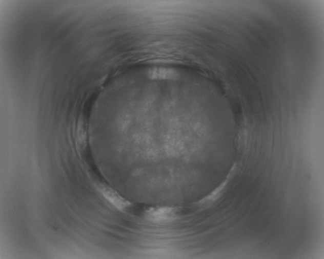 X0000082180186200701270036